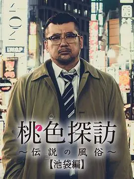 桃色探访海报