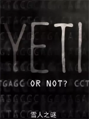 雪人之谜第一季海报
