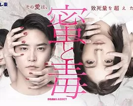 蜜与毒~逆恨的复仇海报