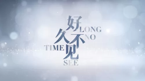 朋友好久不见海报