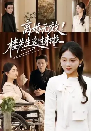 离婚无效!楼先生追过来啦海报