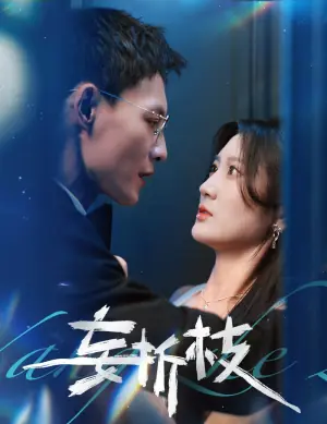 妄折枝海报