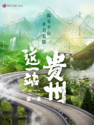 这一站,贵州海报