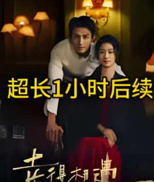 幸得相遇离婚时海报