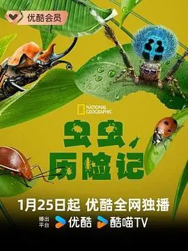 虫虫历险记第一季海报