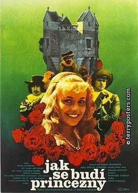 唤醒公主[电影解说]海报