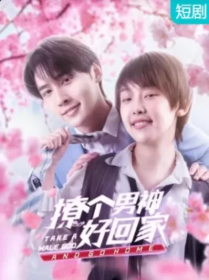 撩个男神好回家海报