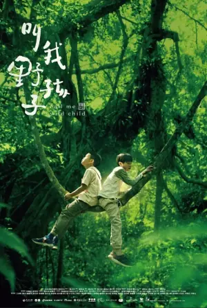 叫我野孩子海报