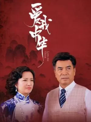 爱我中华海报