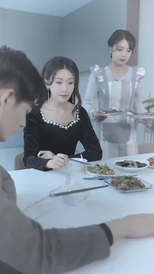 娇妻归来第二季海报