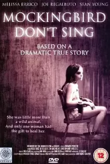 知更鸟不歌唱海报