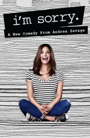 对不起第一季海报