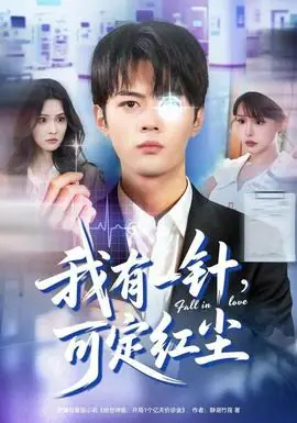 我有一针,可定红尘海报