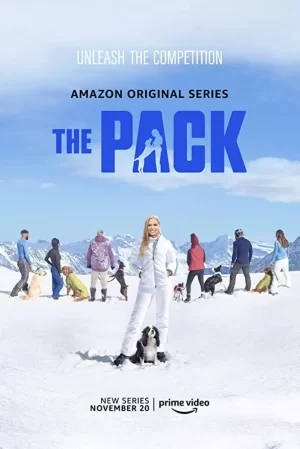 爱宠结伴大冒险海报