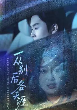 一从别后各天涯海报