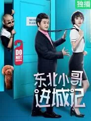东北小哥进城记海报