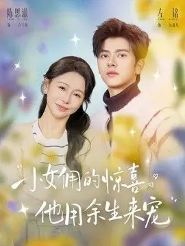 小女佣的惊喜,他用余生来宠海报