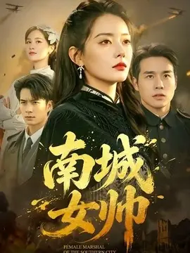 南城女帅海报