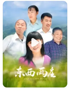 东西两庄海报