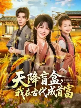 天降盲盒,我在古代成首富海报