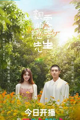 亲爱的隐居先生[电影解说]海报