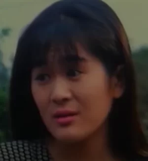 应召女郎94海报