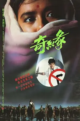 奇缘(国语)海报