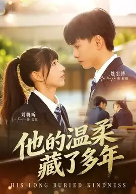 他的温柔藏了多年海报