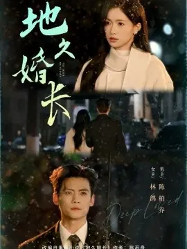 地久婚长海报