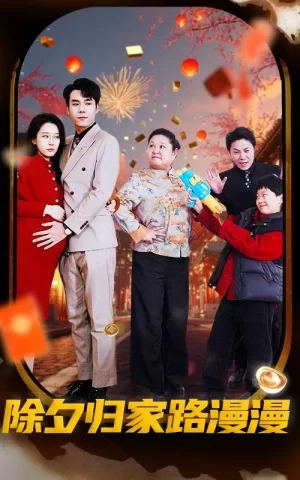 除夕归家路漫漫海报