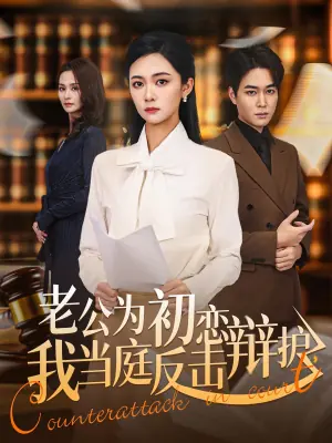 老公为初恋辩护,我当庭反击海报