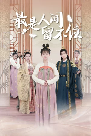 鬓从今夜白海报