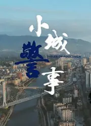 小城警事[影视解说]海报