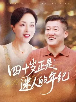 四十岁正是迷人的年纪海报