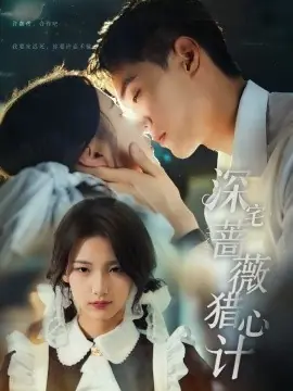 深宅蔷薇猎心计海报