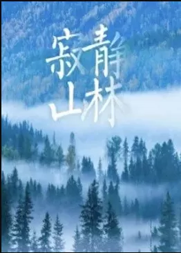 寂静山林海报