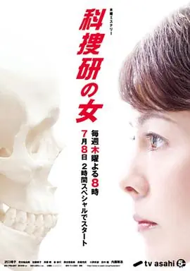 科搜研之女第十季海报