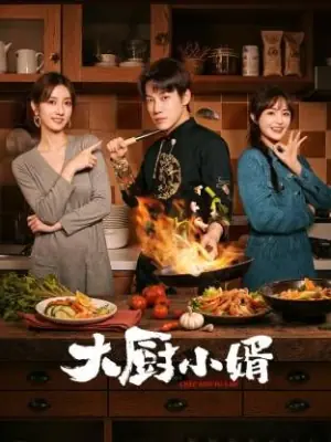 大厨小婿海报