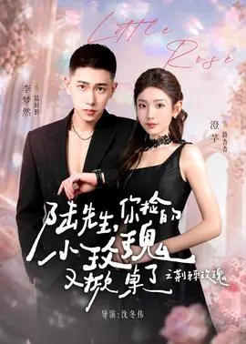 陆先生,你捡的小玫瑰又掀桌了之荆棘玫瑰海报