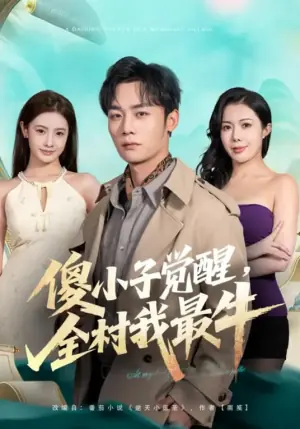傻小子觉醒,全村我最牛海报