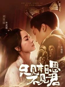 只见相思不见君海报