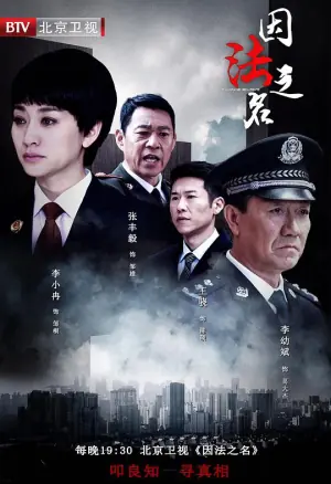 因法之名网络版海报