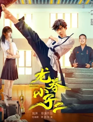 龙拳小子2海报