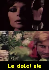 三个姑妈一个侄海报