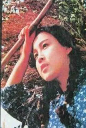 部落性冲突海报