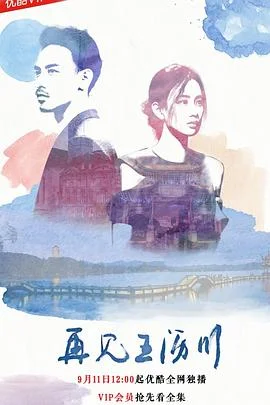 再见王老五海报