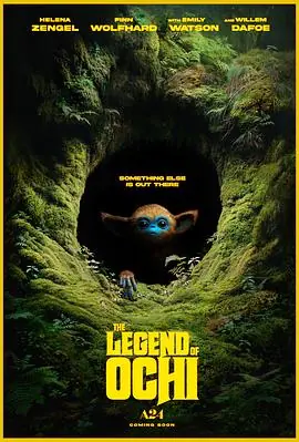奥奇传说TheLegendofOchi海报