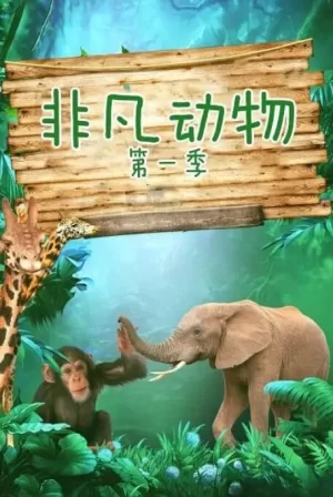 非凡动物第一季海报