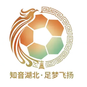 湖北省城市足球联赛神农架队VS天门衣尚队20260503海报