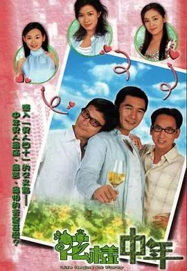 花样中年(国语)海报
